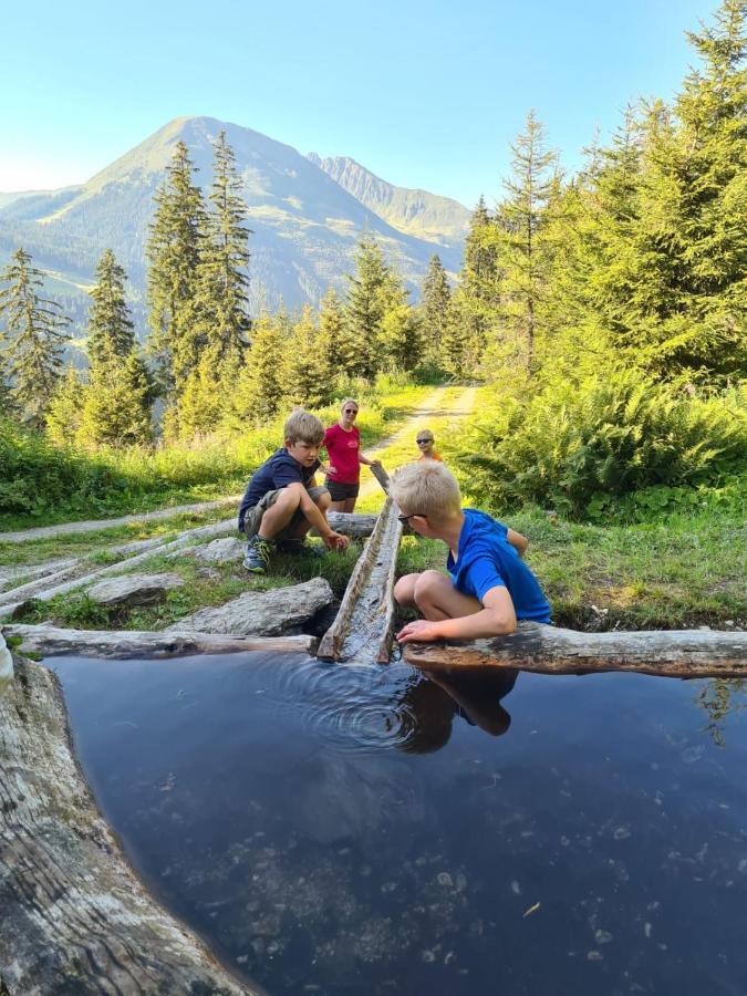 Готель Brixnerhof Im Zillertal Шліттерс Екстер'єр фото