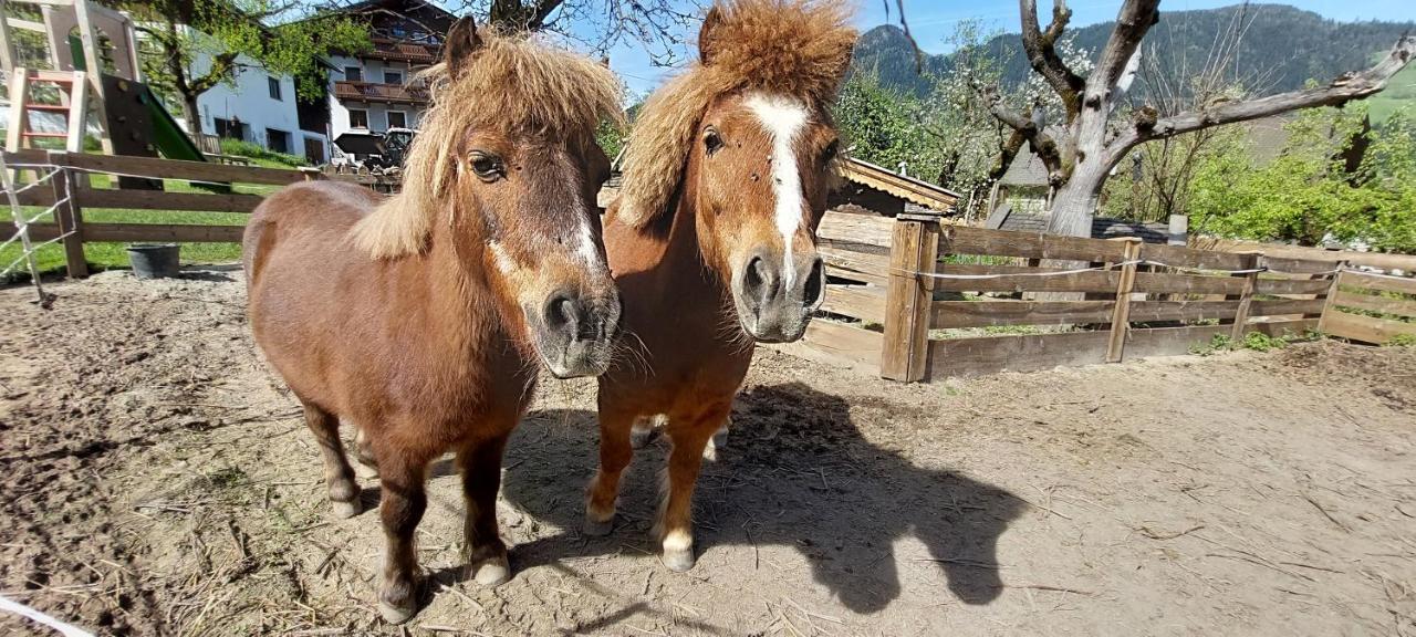 Готель Brixnerhof Im Zillertal Шліттерс Екстер'єр фото