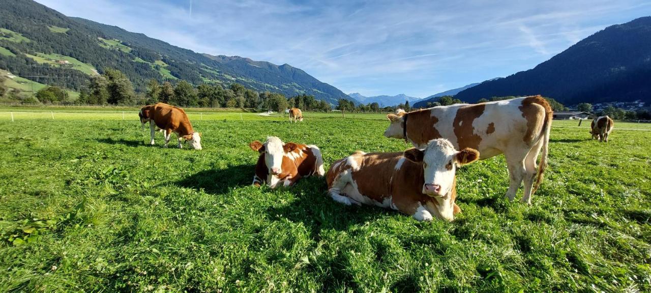 Готель Brixnerhof Im Zillertal Шліттерс Екстер'єр фото